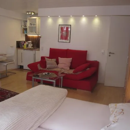 Im Zentrum Am Hebelhof 1zi. Appartement